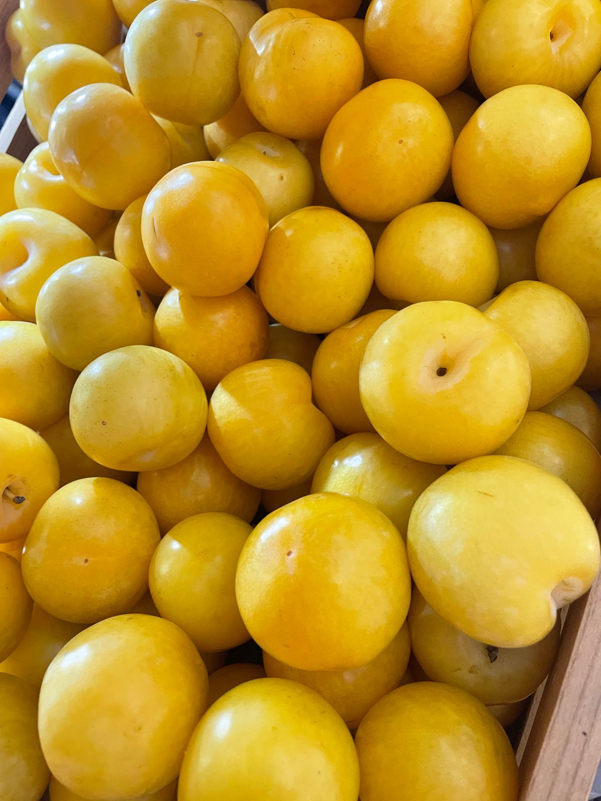 Fruits And Vegetables