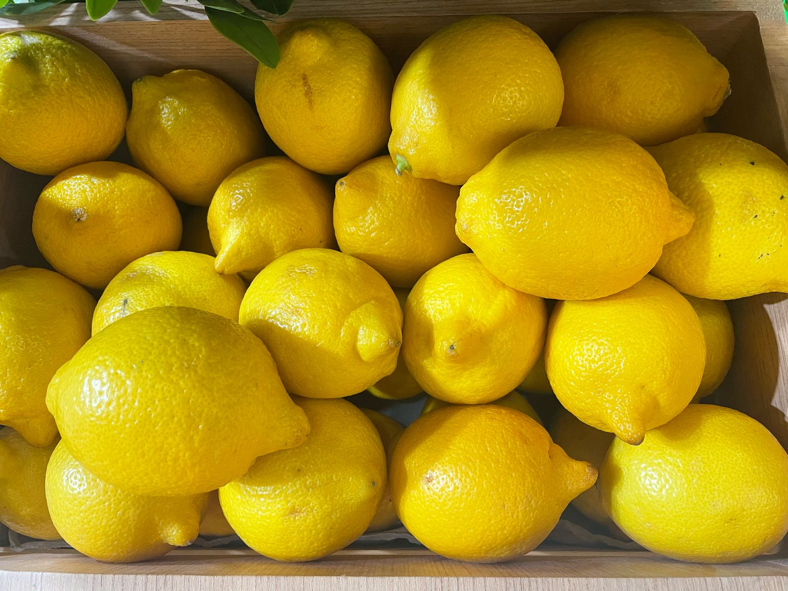 Fruits And Vegetables