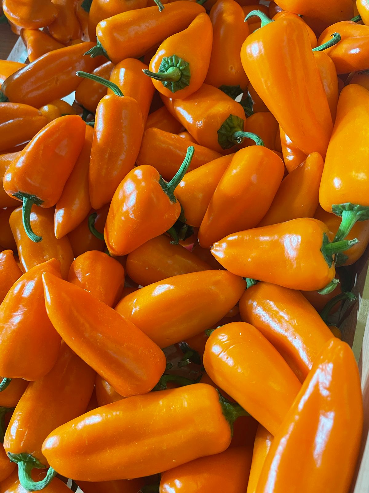 Fruits And Vegetables