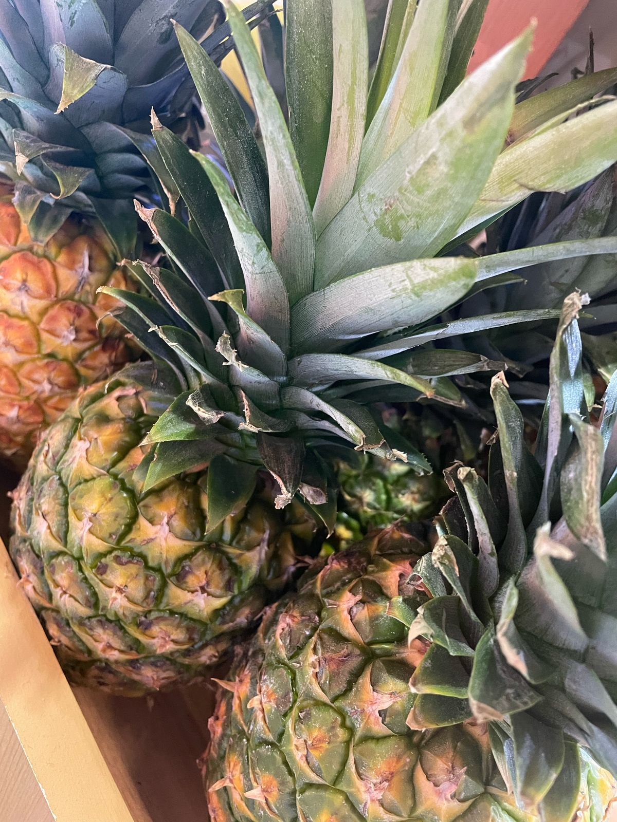 Fruits And Vegetables