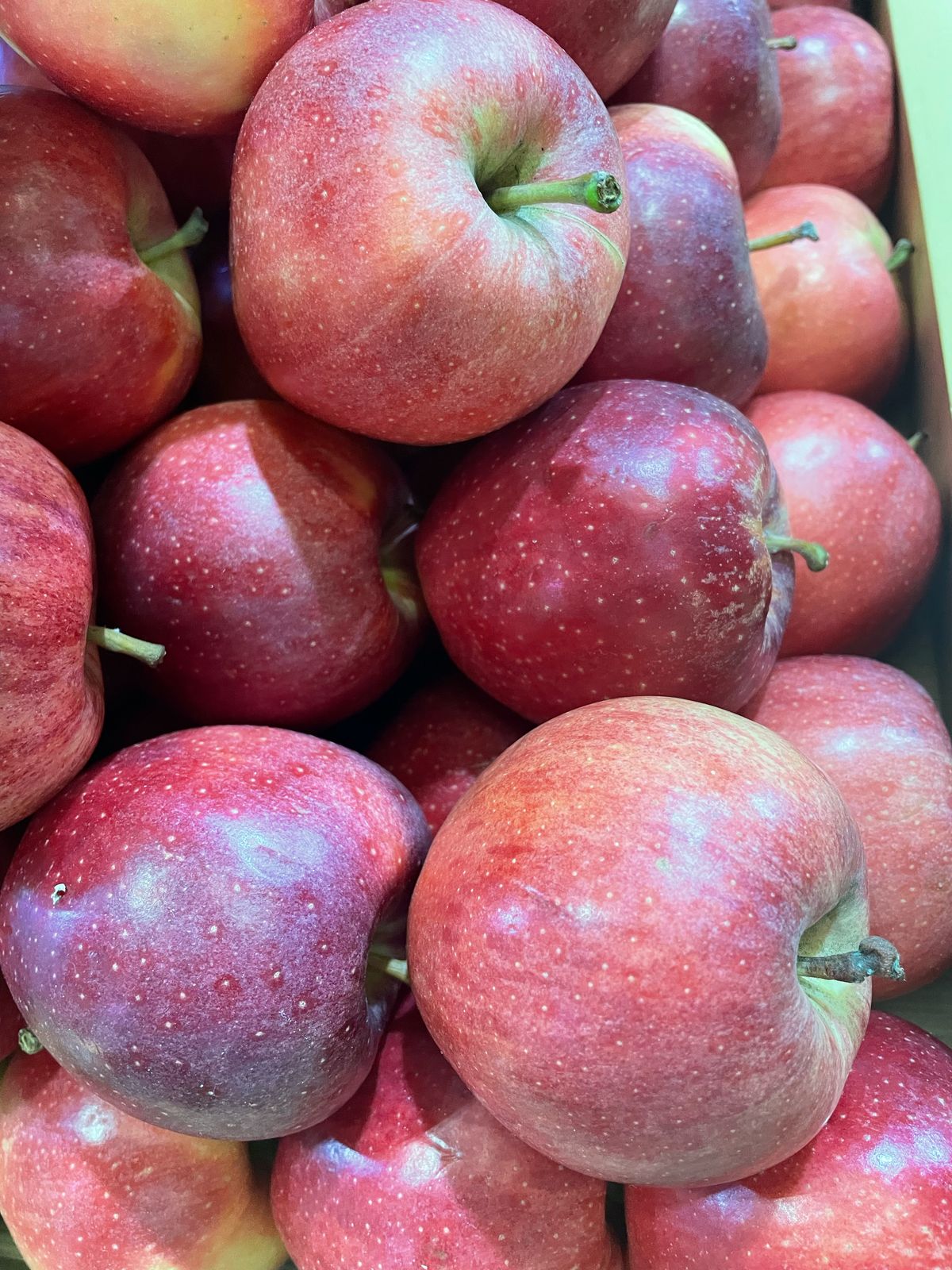 Fruits And Vegetables