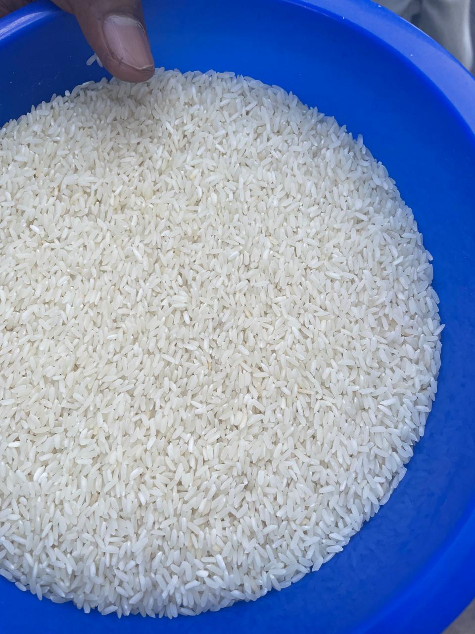 Rice Image 2