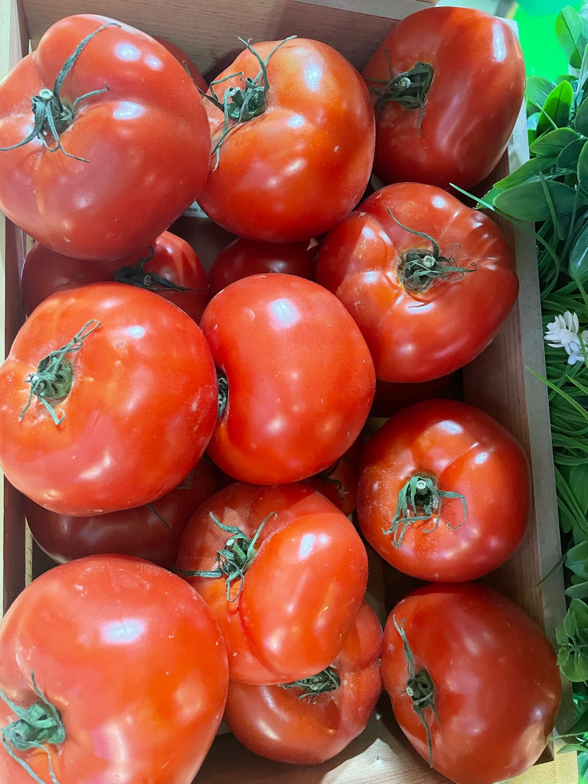 Fruits And Vegetables