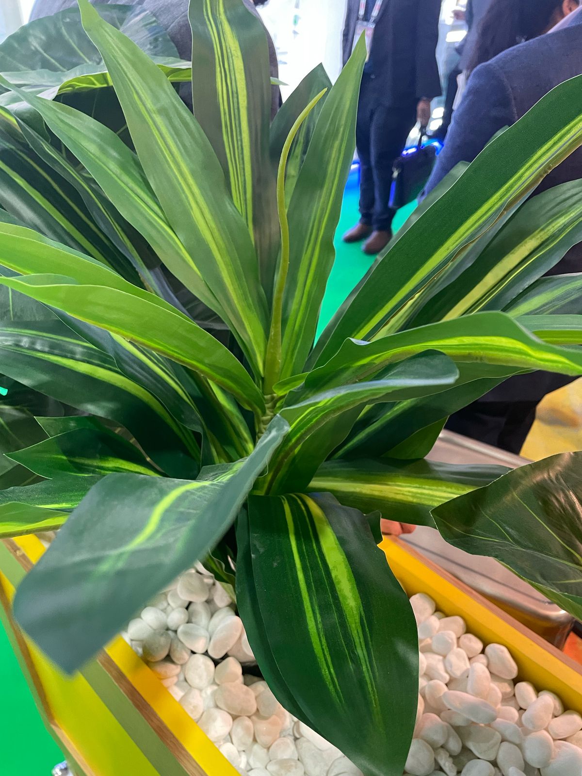 Fruits And Vegetables